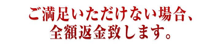 �W���W�����t�g�@���z